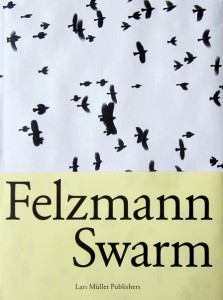 swarm_g